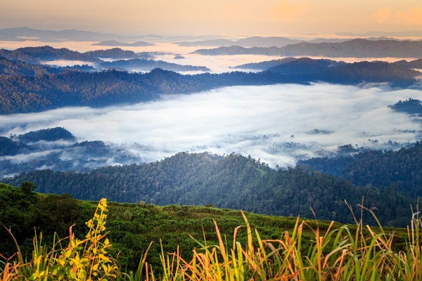 ทองผาภูมิ จังหวัดกาญจนบุรี