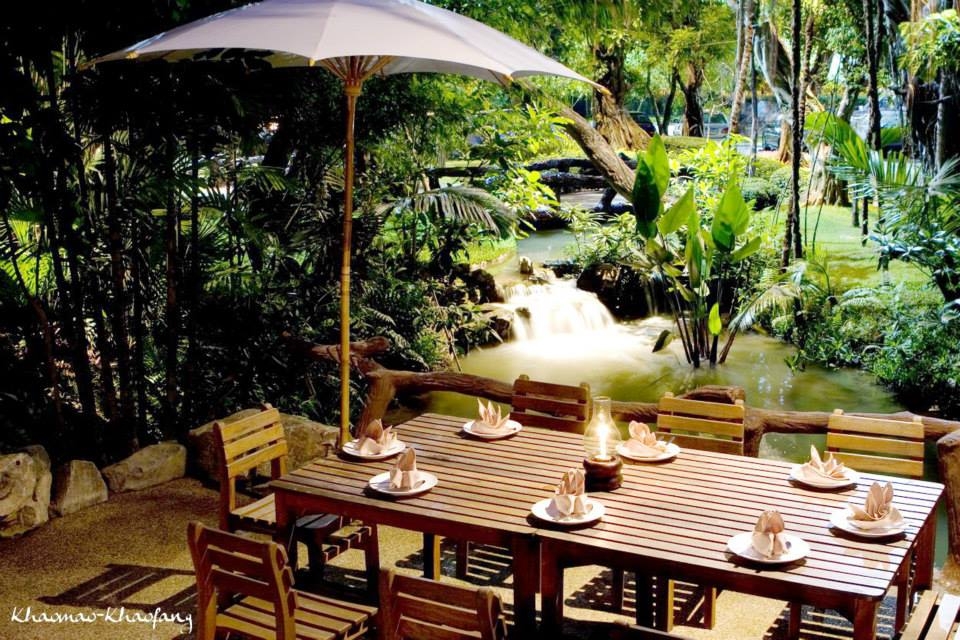 ข้าวเม่า – ข้าวฟ่าง เชียงใหม่