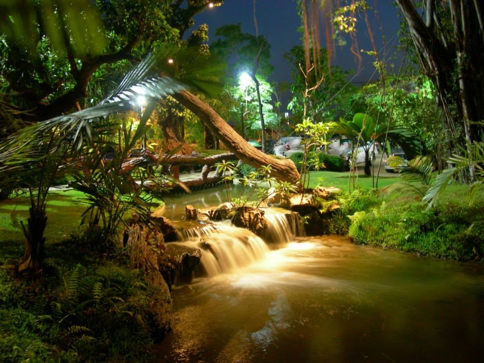 ข้าวเม่า – ข้าวฟ่าง เชียงใหม่