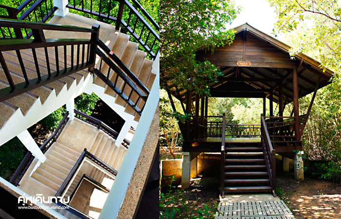 เที่ยวครบรสกับ 3 อำเภอ ของประจวบคีรีขันธ์