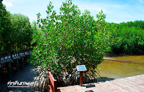 เที่ยวครบรสกับ 3 อำเภอ ของประจวบคีรีขันธ์