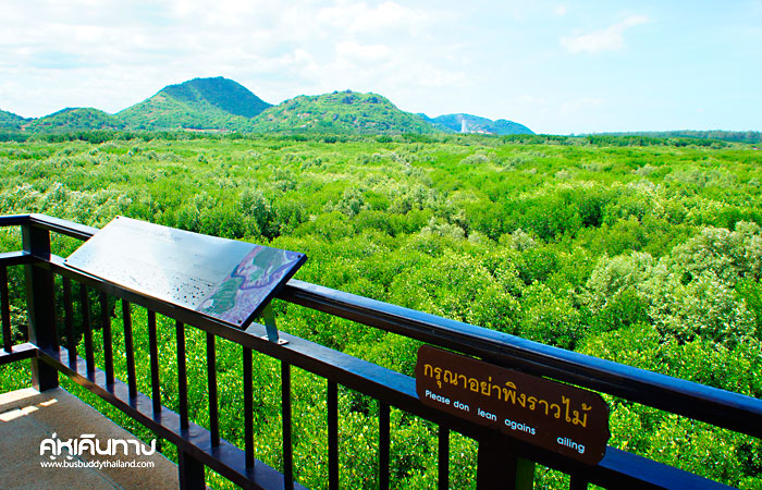 เที่ยวครบรสกับ 3 อำเภอ ของประจวบคีรีขันธ์