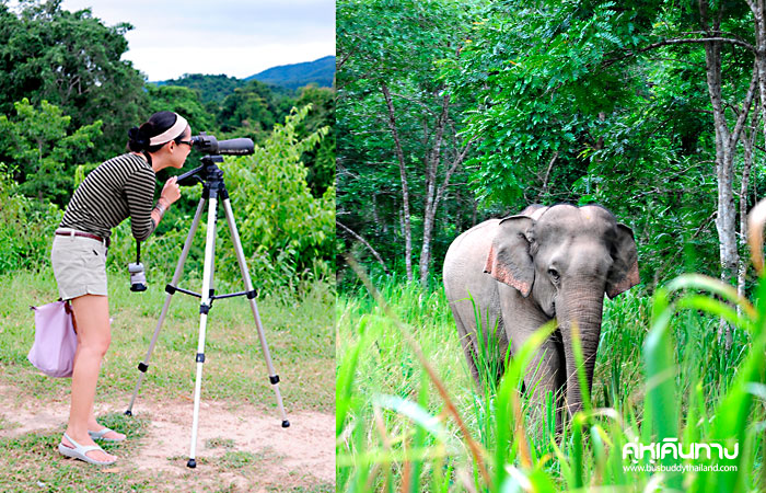 เที่ยวครบรสกับ 3 อำเภอ ของประจวบคีรีขันธ์