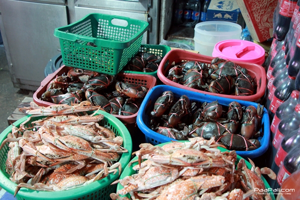 ปูไข่..คลองโคน “ร้านเกษร“ ของอร่อย..ที่ไม่ต้องเหาะไปกินถึงทะเล