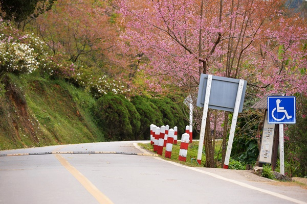 เส้นทางสุดโรแมนติกในไทย เคยไปกันหรือยัง