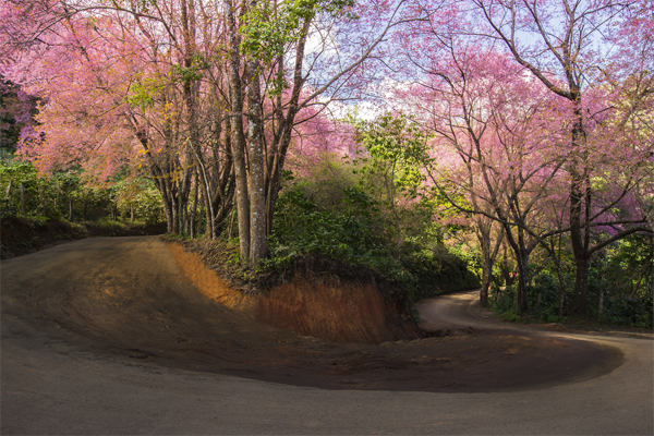 เส้นทางสุดโรแมนติกในไทย เคยไปกันหรือยัง