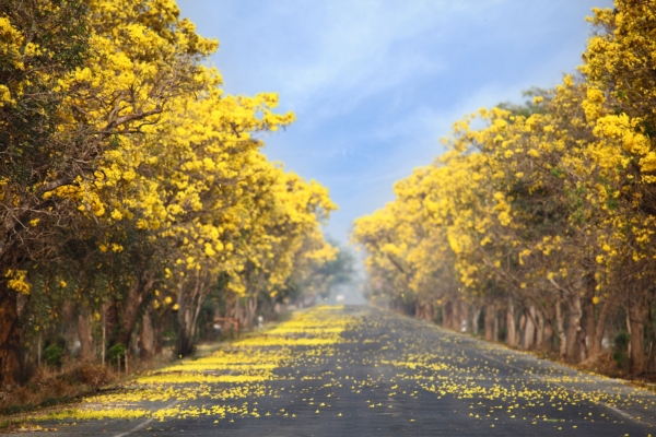 เส้นทางสุดโรแมนติกในไทย เคยไปกันหรือยัง