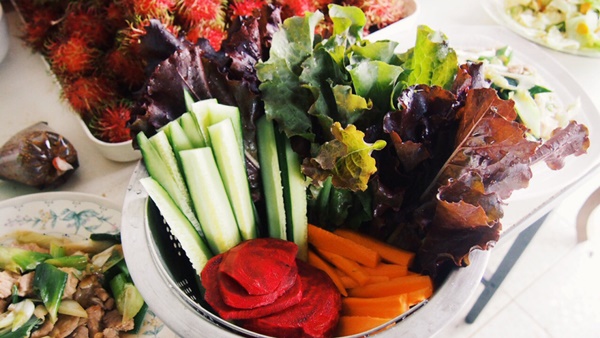 Walk Camp In Organic Farm จังหวัดเชียงใหม่