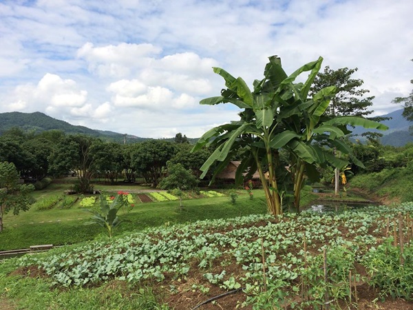 บ้านขวัญเคียงดาว จังหวัดเชียงใหม่