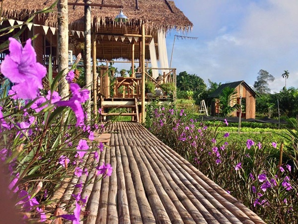 บ้านไร่ไออรุณ ฟาร์มสเตย์ จังหวัดระนอง