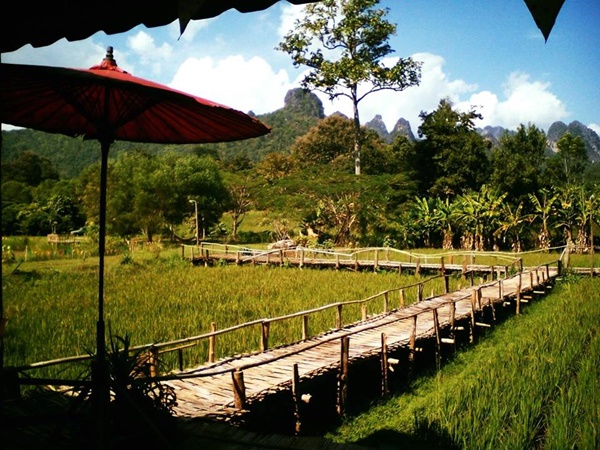 ดาราดาเล บ้านดิน ออแกนิกส์ฟาร์ม จังหวัดเชียงใหม่