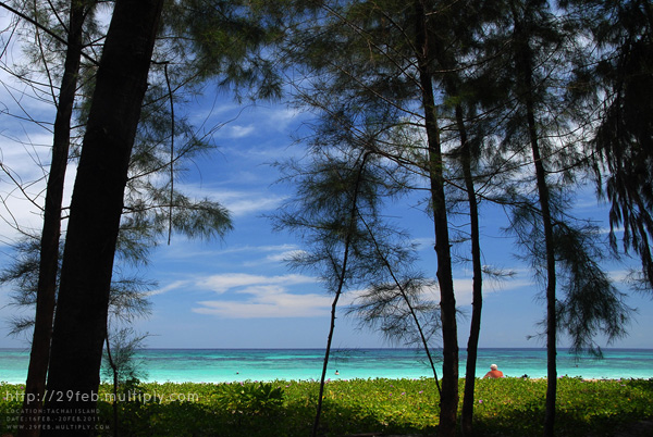 พักกาย พักใจ ที่ “เกาะตาชัย” สิมิลัน