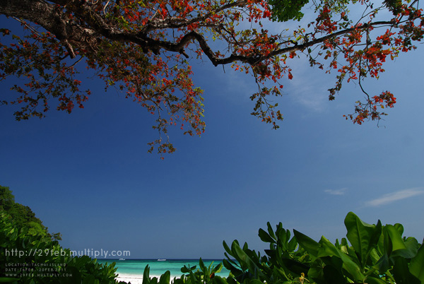 พักกาย พักใจ ที่ “เกาะตาชัย” สิมิลัน