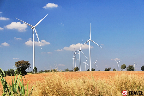 “ทุ่งกังหันลมห้วยบง“ แหล่งท่องเที่ยวพลังงานลม จ.นครราชสีมา