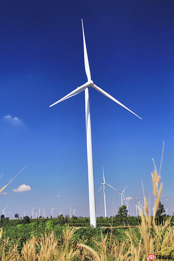 “ทุ่งกังหันลมห้วยบง“ แหล่งท่องเที่ยวพลังงานลม จ.นครราชสีมา