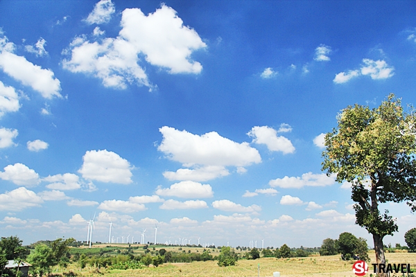 “ทุ่งกังหันลมห้วยบง“ แหล่งท่องเที่ยวพลังงานลม จ.นครราชสีมา