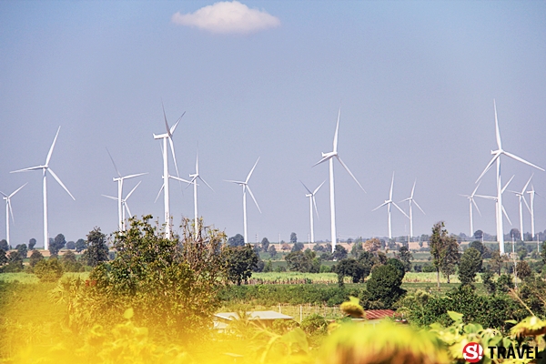 “ทุ่งกังหันลมห้วยบง“ แหล่งท่องเที่ยวพลังงานลม จ.นครราชสีมา