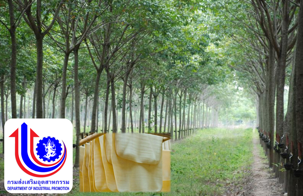 กสอ. ลุยส่งเสริมอุตฯ ยางทั่วภาคใต้