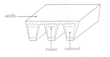 แสดงลักษณะของสายพานร่องวีร่วม