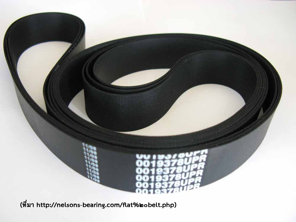สายพาน (Belts)