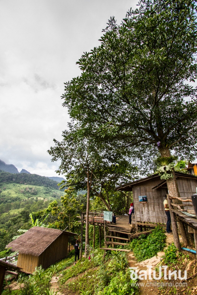 บ้านระเบียงดาวโฮมสเตย์ - เชียงใหม่ (Banrabeangdao Homestay)