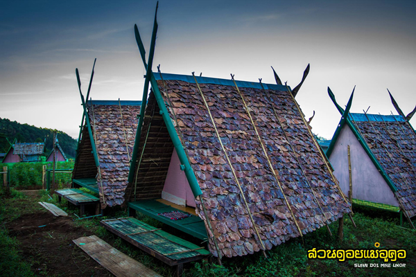 สวนดอยแม่อูคอ - แม่ฮ่องสอน