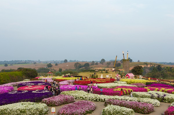 วังน้ำเขียว จังหวัดนครราชสีมา