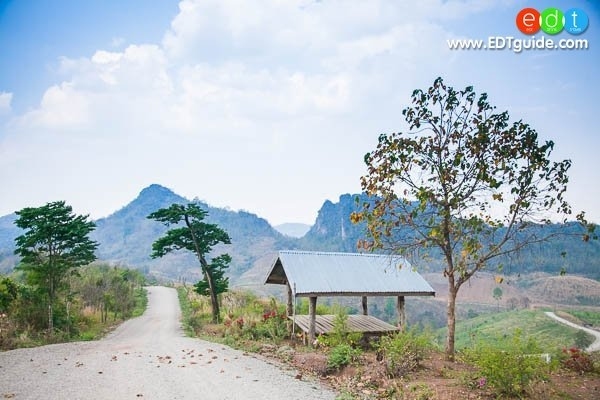 ภูป่าเปาะ ฟูจิ เมืองเลย (บรรยากาศเหมือนไปญี่ปุ่น)