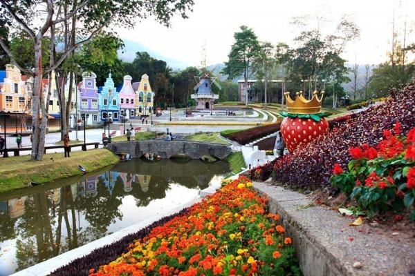 สตรอเบอรี่ทาวน์ ระยอง (บรรยากาศเหมือนไปเนเธอร์แลนด์)