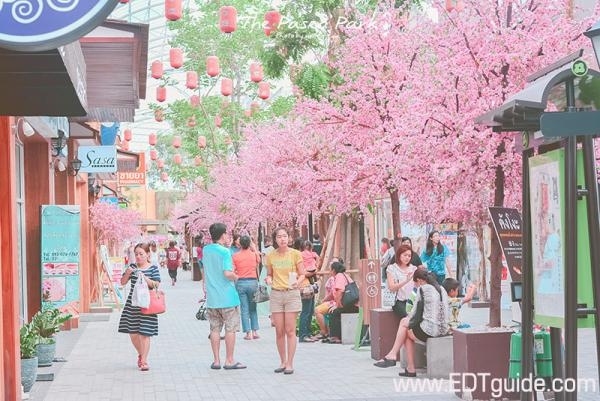 The Paseo Park กาญจนาภิเษก (บรรยากาศเหมือนไปญี่ปุ่น)