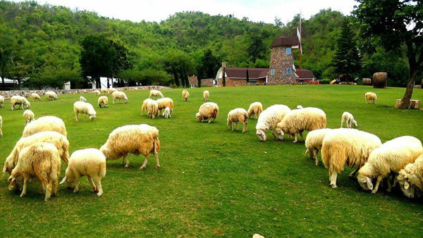 Swiss Valley Hip Resort สวนผึ้ง ราชบุรี