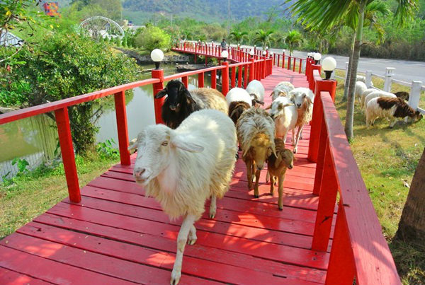 The banyan leaf Resort สวนผึ้ง ราชบุรี