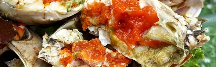 รวมร้าน “ปูไข่” อร่อยลืมอิ่ม ที่คุณต้องลอง!