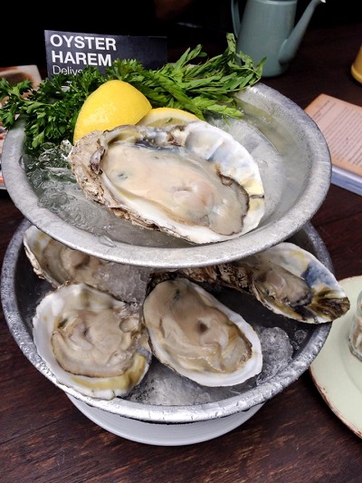 Oyster Harem x Petite Pantry