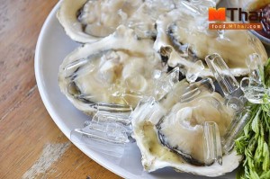 หอยนางรมสดๆ จากสุราษฎร์