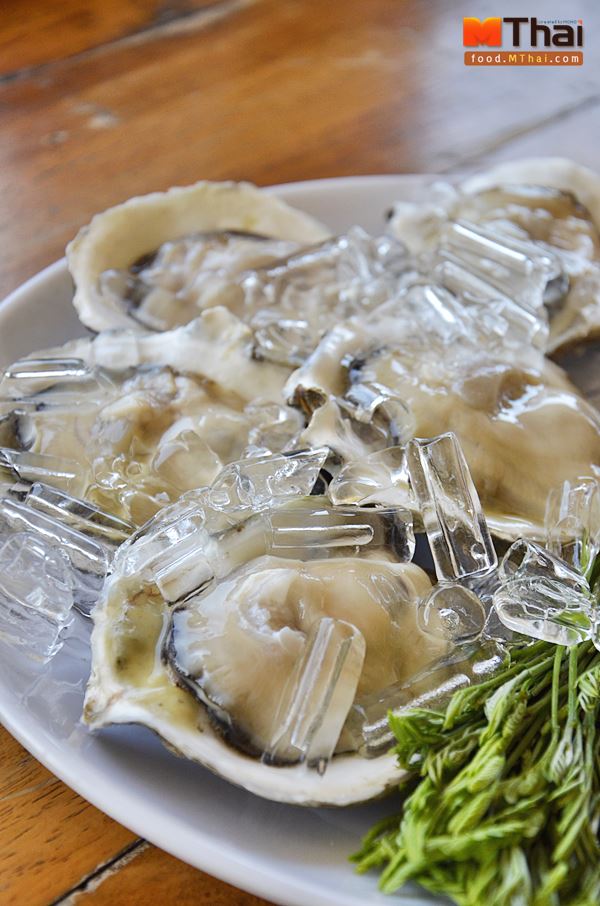 หอยนางรมสดๆ จากสุราษฎร์