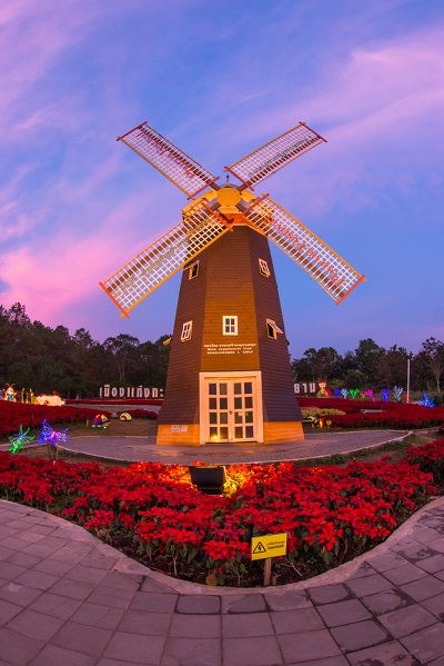 ลานต้นคริสต์มาสภูเรือ จังหวัดเลย