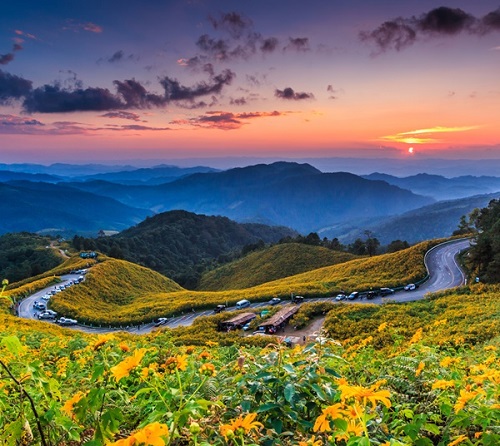 เทศกาลชมบัวตองบาน ดอยแม่อูคอ จังหวัดแม่ฮ่องสอน