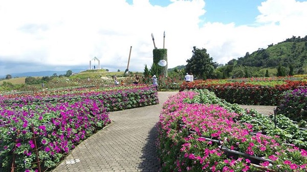 งานดอกไม้ ฟลอร่า พาร์ค (Flora Park) จังหวัดนครราชสีมา