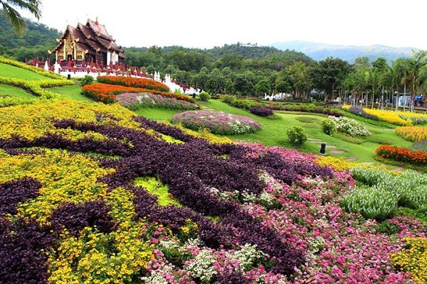 เทศกาลชมสวน (Flora Festival 2015) ณ อุทยานหลวงราชพฤกษ์ จังหวัดเชียงใหม่