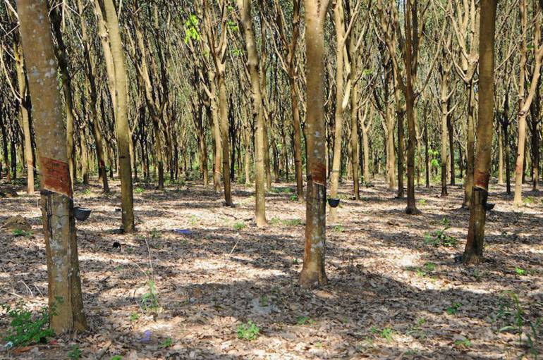 'นายก' ไล่บี้แก้แรงงานขาด-ยางตก-อุบัติเหตุชุม แนะหั่นเงินเดือนบิ๊ก 'รัฐวิสาหกิจ'