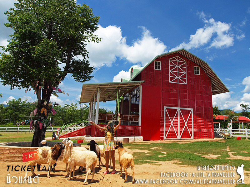 ราชบุรี ชุมชนคนเลี้ยงแกะ