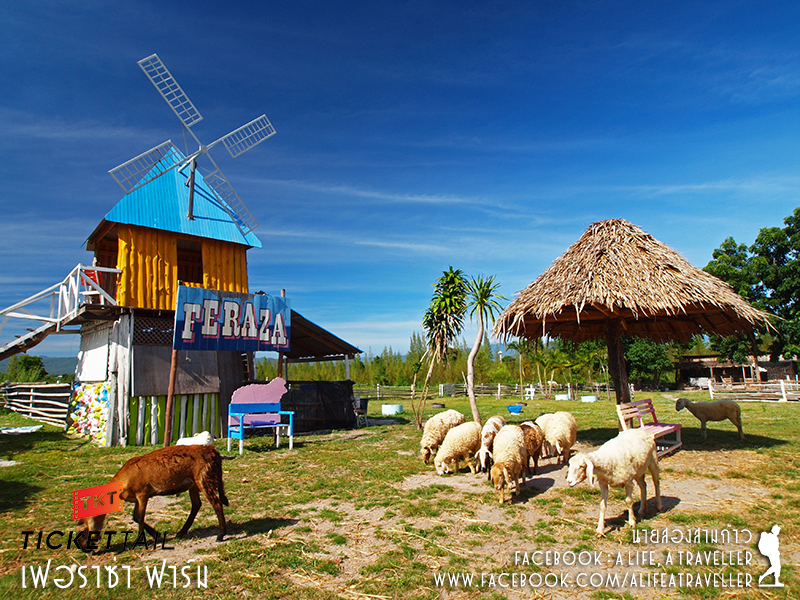 ราชบุรี ชุมชนคนเลี้ยงแกะ