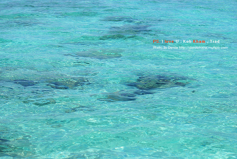 เกาะขาม